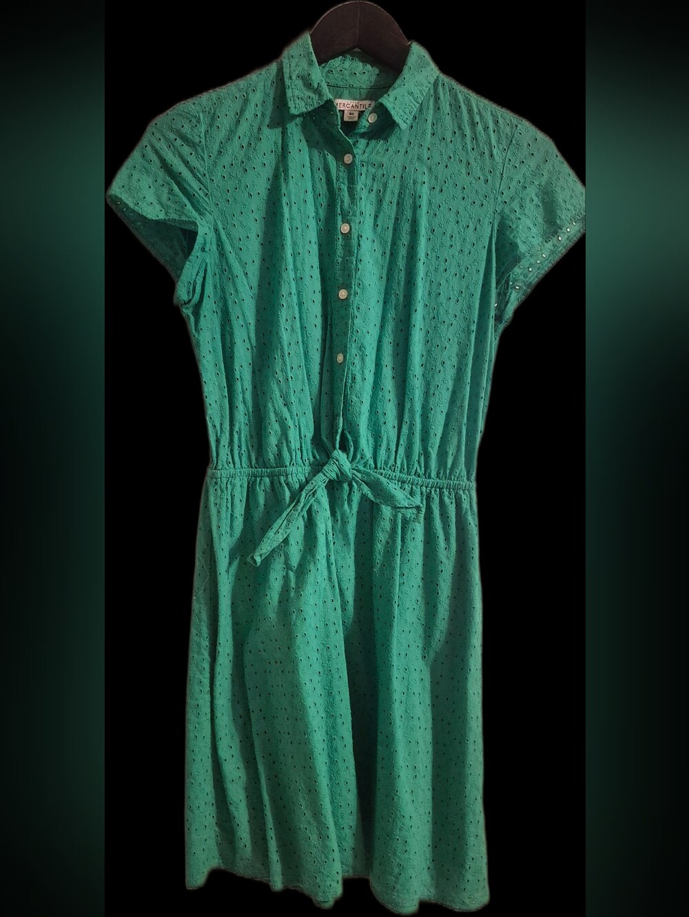 J. Crew Factory Teal Eyelet Button-Front Tie-Waist Mini Dress